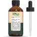 Black Spruce Essential Oil (Picea Mariana) - Pure Natural Aroma for Diffuser & Massage | 30ml - Buy Online on GoSupps.com