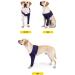 Pet Dogs Denim Anti-Licking Front Leg Support Brace | Breathable Sleeve for Injury Recovery & Sprains | Joint Wrap Protector in Jean Blue - S/M/L/XL/XXL/XXXL - Buy Online on GoSupps.com
