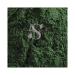 Spirulina Powder (114 G) 1 g (Pack of 1)