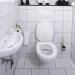 HG Sanitary Area Cleaner Cleans Toilets Sinks Basins Bidets Handles and Bathroom Areas Hygienic Formula with Fresh Fragrance 500ml Spray (320050106) - Buy Online on GoSupps.com