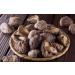WATSON Premium Mushroom (Dried) | Dried Shiitake Mushroom | Dried Mushrooms | 227g / 8oz | Dried mushrooms for cooking | Vacuum-Locked Nutrients | Mushroom Soup Making | Dried Chinese mushroom | Selected Mushroom | - Buy Online on GoSupps.com
