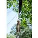 Summer's Dream Skateboard Surfing Tree Swing 32x8 - Thick Plywood Board for Kids Up to 300 Lbs - Easy to Hang Surf Board Swing - Red - Buy Online on GoSupps.com