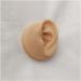 Silicone Ear Model - Human Ear Model Simulation - for Human Body Piercing Acupuncture and Moxibustion Ear Practice Ear Teaching - Buy Online on GoSupps.com