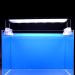 Blue Black Aquarium Background | Fish Tank Wallpaper 2 Sides | 12-24 High | 19.7H x 48L - Buy Online on GoSupps.com