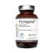 Pycnogenol - extract from the bark of the French sea pine - 100mg per daily dose - vegetable capsule - vegan - without magnesium stear - 60 capsules Vege Kenay Europe