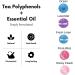 Air Jungles Odor Deodorizer Balls - Fresh Linen Scented Natural Tea Polyphenols & Essential Oil - Long Lasting Odor Eliminator for Shoes, Gym Bags, Drawers, and Locker - Buy Online on GoSupps.com