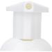 Rose Blossom Feminine Hygiene Cleanser - Gentle Vaginal Cleansing Mousse with Rose-Scented Foam - Buy Online on GoSupps.com