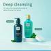 Ryo Scalp Deep Cleansing & Cooling Shampoo 500ml | Anti-Dandruff Excess Sebum Care & Natural Ingredients for Smelly Scalp - Buy Online on GoSupps.com