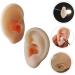 Tofficu 1 Pair Silicone Ear Picking Practice Tunnels | Simulated Auditory Meatus Model for Ear Display | Artificial Display Ear Mold - Silica Gel - Buy Online on GoSupps.com