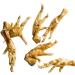 Loyalty Dog Treats Chicken Feet Fully Natural Single Ingredient Canadian Dehydrated Training Treat (1000g) 1 kg (Pack of 1) Dog Treats - Buy Online on GoSupps.com