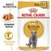 Royal Canin British Shorthair Wet Cat Food 85 g (Pack of 12) - Buy Online on GoSupps.com