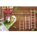 Wooden Bird Ladder for Cage - 3 Sizes | Pet Toys for Parakeets, Parrots, Cockatoo, Lovebirds - Buy Online on GoSupps.com