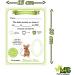 Myfuturshop Children's Door for Leaving Milk Teeth to Perez Original Gift for Boys and Girls Contains Teeth Box Ladder and 4 Clean Tooth Certificates (Green) - Buy Online on GoSupps.com
