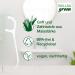 Buy Wellsamed Wellsagreen 50 Organic Floss Picks - Sustainable Dental Floss Sticks Made of PLA for Eco-Friendly Oral Care - Buy Online on GoSupps.com