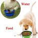 AXGO Collapsible Extra Large Dog Bowl - Portable Foldable Silicone Travel Bowl for Pet Food/Water - Black - 1 Piece - Buy Online on GoSupps.com