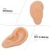 Silicone Ear Model - Specialty Tools for Ear Care - 3D Fake Human Ear Presentation Model - Buy Online on GoSupps.com