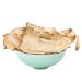 Angelica Root (Dang GUI) Dired Angelica Film Angelica Sliced Angelica Tablets Chinese Angelica Piece DangGuiPian Tang Kuei Plus (32 oz)
