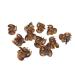 12-Pack Brown Mini Acrylic Hair Gripper Clips | Solid Plain Fringe Hairpins for Women & Girls - Buy Online on GoSupps.com