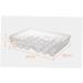 KOMBIUDA 34 Eggs Large Capacity Egg Holder Egg Crisper Grids Egg Holder Egg Container Egg Plate High Capacity - Buy Online on GoSupps.com