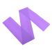 HANABASS Yoga Resistance Bands Elastic Exercise Bands Physical Therapy Tension Band Work Out Band for Pilates Rehab Fitness Strength Training Purple