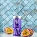 No.1 Living Kombucha Drink 24x 250ml Cans - Passion Fruit - Sugar Free Great Tasting Kombucha with Live Cultures Lightly Sparkling 100% Natural Vegan Passion Fruit & Goji 250 ml (Pack of 24) - Buy Online on GoSupps.com