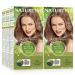 Naturtint Permanent Hair Color 6G Dark Golden Blonde (Pack of 6) Ammonia Free Vegan Cruelty Free up to 100% Gray Coverage Long Lasting Results 1 Count (Pack of 6) 6G Dark Golden Blonde