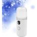 ABOOFAN Mini Humidificateur Portable Spray Nano Vaporisateur D'hydratation Visage Blanc Compact Hydratant Peau Voyage et Soins Personnels 1 Pi ce - Buy Online on GoSupps.com