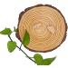 Wendysun 10pcs Cartoon Wood Teether - Natural Animal & Cloud Shape Baby Teething Nursing Beech Teether Toy - Buy Online on GoSupps.com