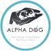 Essential Puppy Kitten Whelping Kit Supplies Bulb Aspirator - Buy Online on GoSupps.com