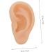 1pc Healvian Silicone Ear Tool - Fake Ear for Practice & Care | Beige Silicone Teaching Model for Ear Supplies - Buy Online on GoSupps.com