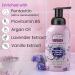 Luxury Foaming Body Wash - Hydrating Argan Oil Aloe Vera Pentavitin & Pro Vit B5 | pH 5.5 | All Skin Types | 400ml Lavender & Vanilla - Buy Online on GoSupps.com