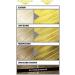 L'Oreal Paris Colorista Washout Yellow Neon Semi-Permanent Hair Dye 80ml - Pack of 1 - Buy Online on GoSupps.com