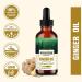 Ginger Essential Oil - Energizing Aroma Therapeutic Grade for Aromatherapy & Massage - Best International Shipping - Buy Online on GoSupps.com