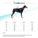 SCENEREAL Red Plaid Pet Pajamas - Soft Medium Dog Sweaters - Buy Online on GoSupps.com