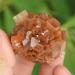 Home Natural Flowery Orange Aragonite Crystal Cluster Specimen Home Collections - Buy Online on GoSupps.com