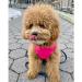 Pink Gooby Padded Vest Dog Jacket - Warm Fleece Zip-Up with D-Ring Leash - Winter Water Resistant Small Dog Sweater for Boys, Medium Dogs - Size Medium - Buy Online on GoSupps.com
