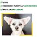 DISANE Natural Dog Ear Cleaner | Prevent ear infections by removing dirt earwax and secretion build-up | To maintain dog's hearing health - Buy Online on GoSupps.com