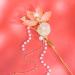 Rabithenn Camellia Flower Pearl Tassels Chinese Hanfu and Style Hair Retro Flower with Metal Handmade Hair Clip Hair Accessories for Women Girls Long Hair (lotus seedpod) - Buy Online on GoSupps.com