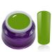 Color Gel Greenery Green UV LED Nail Gel Studio Quality Color Gel RM Beautynails 1 Pack (1x 5ml)