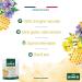 Humer - Sensitive Throat Erasers - Lemon Flavor - From 6 years old - Resealable & Recyclable Bag of 30 Erasers - Buy Online on GoSupps.com