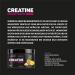 Endorfina.shop Creatine Monohydrate - Premium Training Supplement for Muscle Building Protein Synthesis & Fat Burning - Pineapple Flavor - Buy Online on GoSupps.com