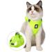 Ultra-Light Adjustable Cat Dish & Escape Protection Vest for Kittens and Puppies - Padded Running Jacket (Fruit Green) | 1 Pack - Buy Online on GoSupps.com