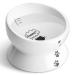 Y YHY Elevated Cat Food Bowl, Raised Pet Food and Water Bowl, Cat and Small Dog Bowl, Tilted Ceramic Cat Water Bowl No Spill,15oz, Dishwasher Safe White