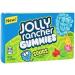 Jolly Ranchers American Candy Selection Gift Box - Includes Gummies Chews Tropical Lollipops & More - Hamper Exclusive to Burmont's - Buy Online on GoSupps.com