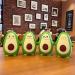 UCHOME Avocado Kids Mini Glass Water Bottle - 4 Designs, 280ml BPA-Free Silicone with Lanyard (Happy) - Buy Online on GoSupps.com