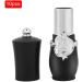 Royal Style DIY Lipstick Empty Container - Black Lipstick Tube for Self-made Lipstick and Lip Balm - Empty Lipstick Mold - Buy Online on GoSupps.com