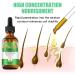LOPHE Rosemary Oil for Hair Growth 100% Pure Rosemary Hair Oil for Eyebrow Eyelash for Hair Loss and Nourishes Scalp Organic Hair Oil for Men Women - Buy Online on GoSupps.com