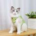 Cat Recovery Suit Cat Professional Recovery Suit Cat Suit Post Surgery Medical Care Cone Collar Alternatives Anti Licking Wound Cat Vest Bodysuit for Male Female Cats Kitten (Green M) M Green - Buy Online on GoSupps.com