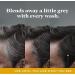 Just for men Control GX - Grey Reducing 2 in 1 Shampoo and Conditioner for Grey Hair New Improved Formula All Shades 118 ml x 3 units - Promo Pack - Buy Online on GoSupps.com