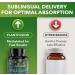 PlantFusion Organic Methylated Vitamin B Complex Vegan B12 3000mcg Folate 680mcg DFE B6 from Organic Sprouts Berry-Flavored Lozenges 60 Count - Buy Online on GoSupps.com